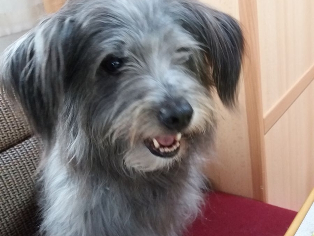 Obermaiselstein 2018 (3)